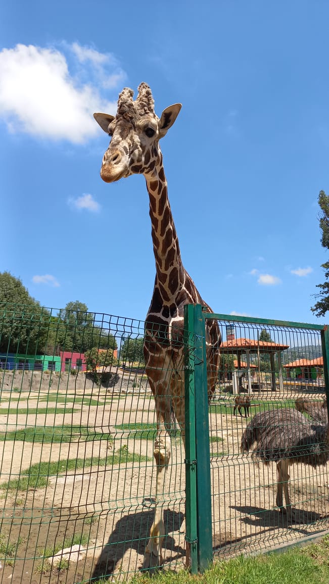 WhatsApp Image 2023 08 15 at 9.56.47 AM