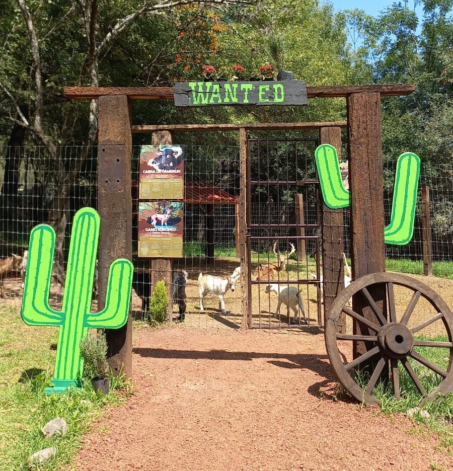 zoológico del altiplano-tlaxcala-animales-ecologia