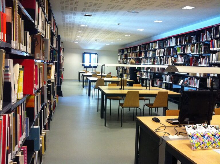 141 bibliotecas en Tlaxcala resisten a la era digital