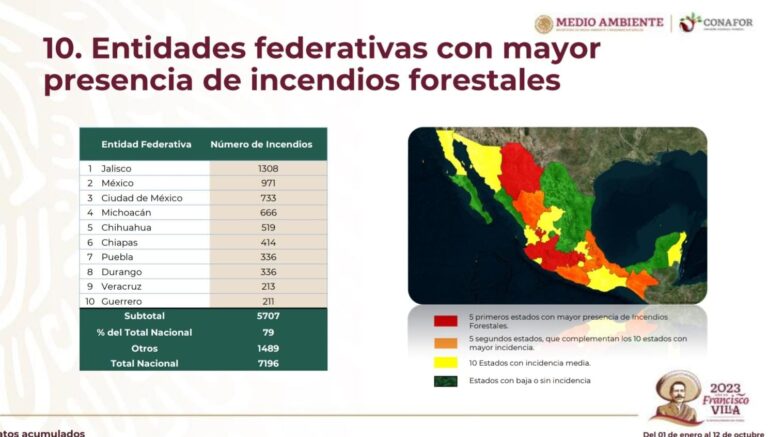 Contabiliza CONAFOR 166 incendios forestales en Tlaxcala durante 2023