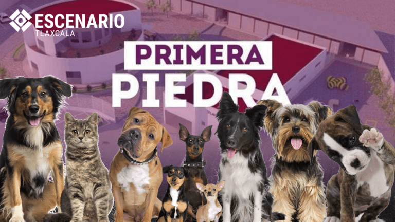 Consejo Consultivo de Bienestar Animal de Tlaxcala