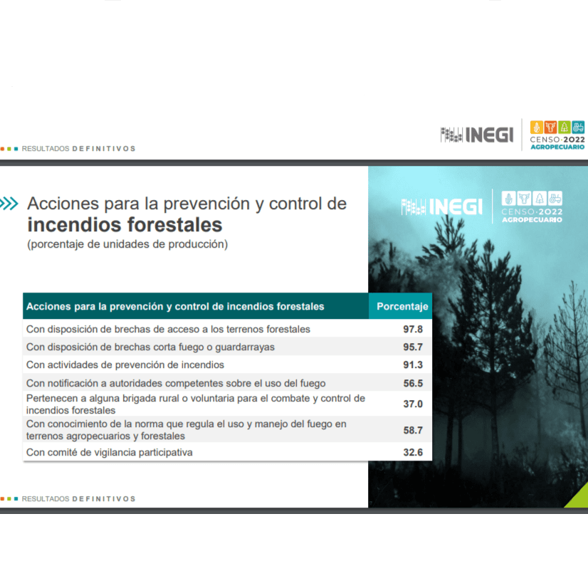 75.6% del área rural en Tlaxcala tiene uso o vocación agropecuaria, revela INEGI 5 Sin titulo 1