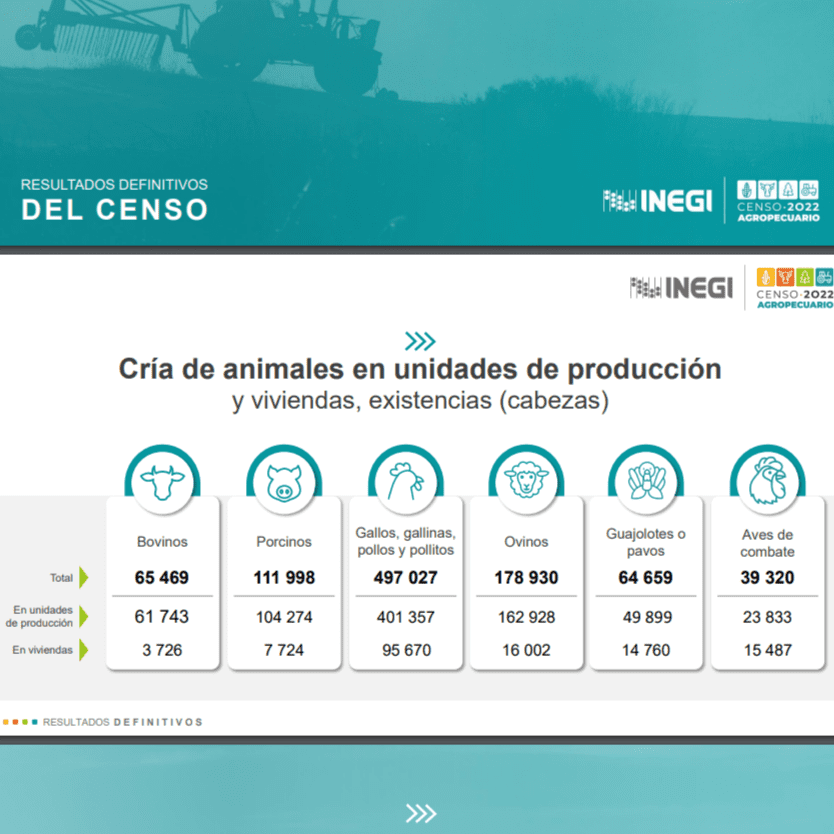 75.6% del área rural en Tlaxcala tiene uso o vocación agropecuaria, revela INEGI 2 Sin titulo221