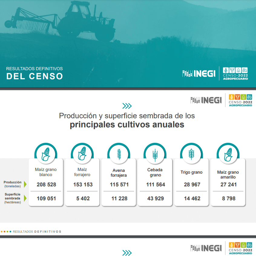 75.6% del área rural en Tlaxcala tiene uso o vocación agropecuaria, revela INEGI 1 Sin titulo2323 1