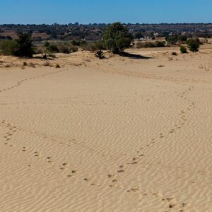 Desierto de Cuapiaxtla, un mini Sahara en Tlaxcala