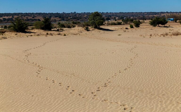 Desierto de Cuapiaxtla, un mini Sahara en Tlaxcala