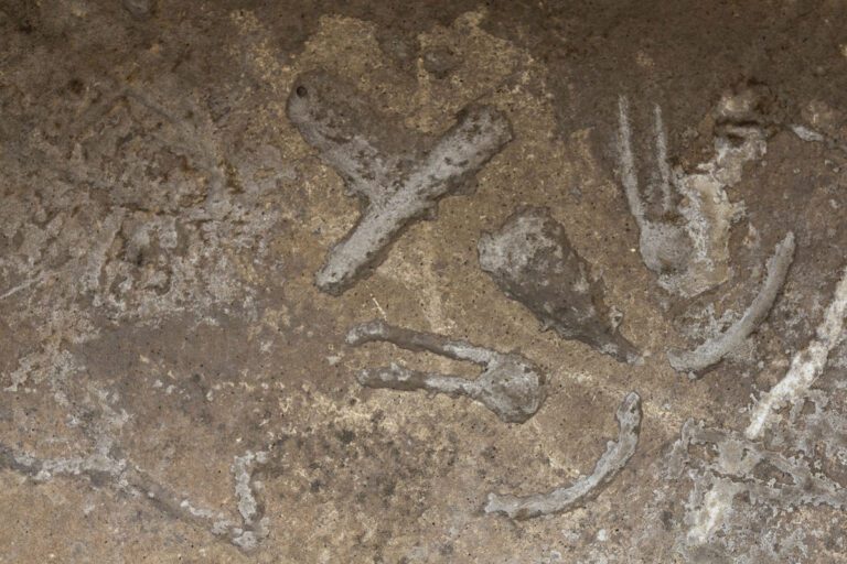 Descubre los petroglifos en las cavernas de Atlzayanca, Tlaxcala