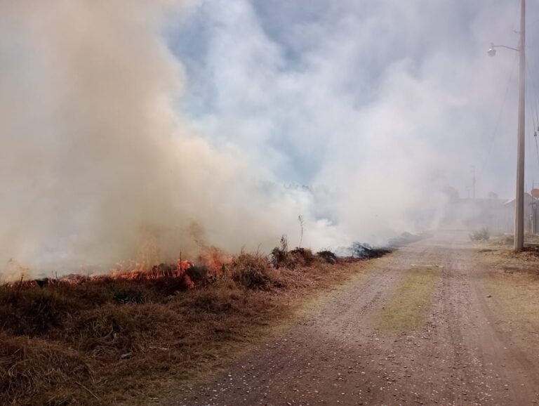 Moviliza a autoridades locales incendio en presidios de pastizal en Tepetitla de Lardizábal