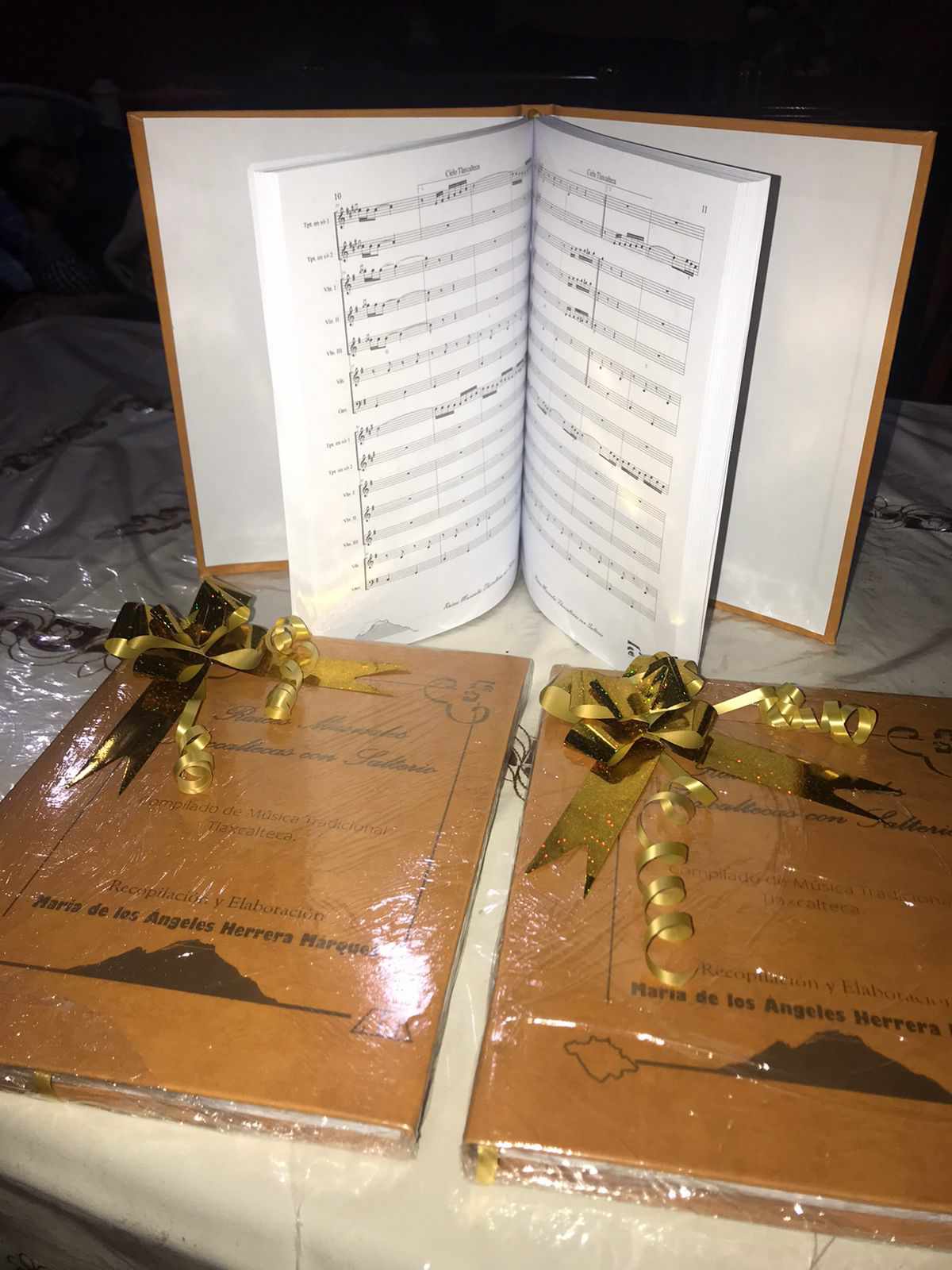 432630027 1634467380656667 1539934558931805591 n