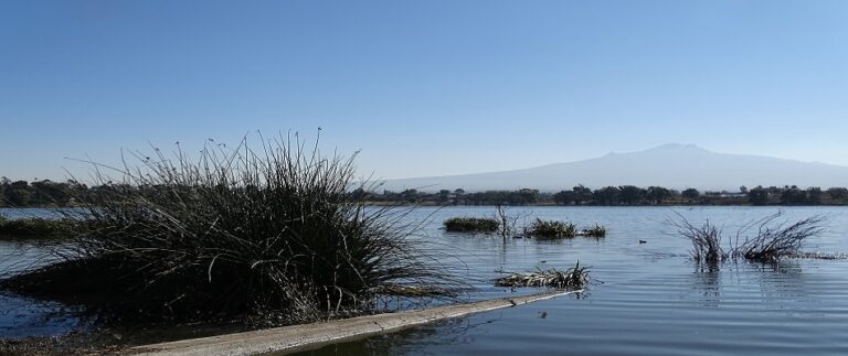 Dia mundial del Agua: La disponibilidad del agua en Tlaxcala