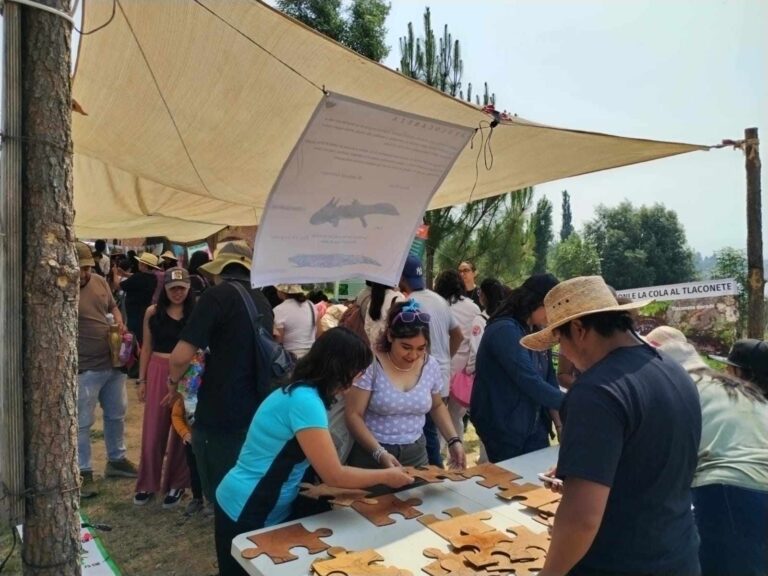 Segundo FestiTlax de los Anfibios en Tlaxcala: Celebrando la diversidad y la conservación