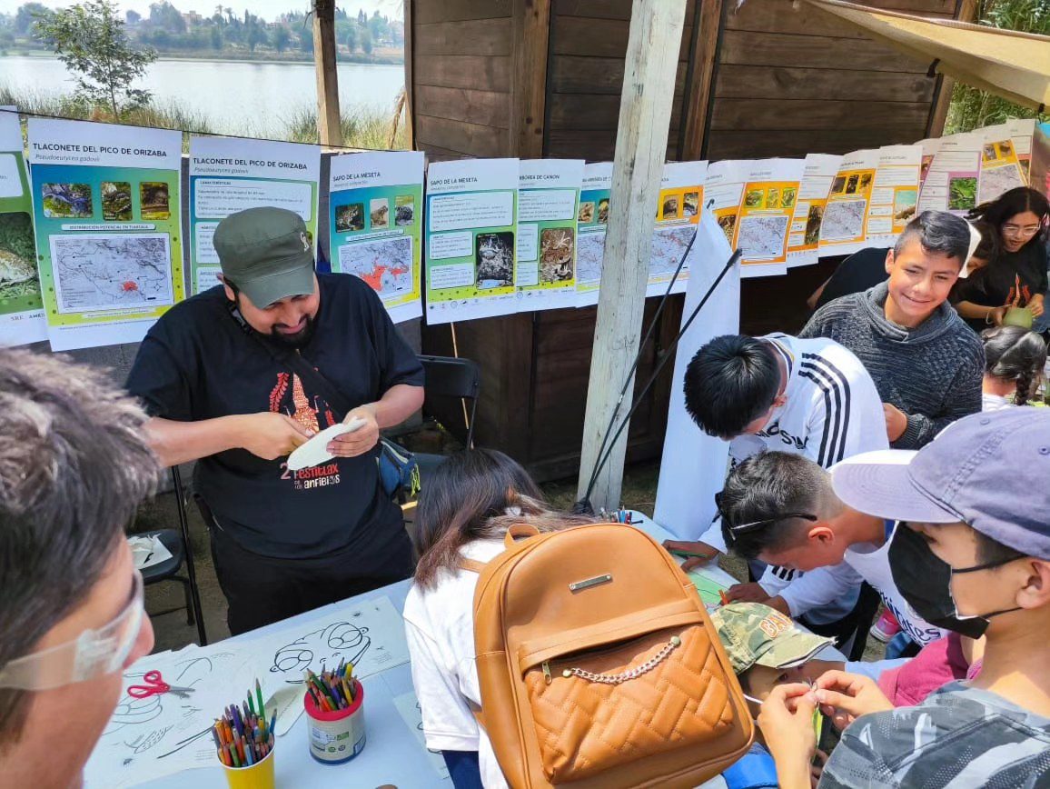 Segundo FestiTlax de los Anfibios en Tlaxcala: Celebrando la diversidad y la conservación 4 440107627 913515527241071 4697959899186520185 n