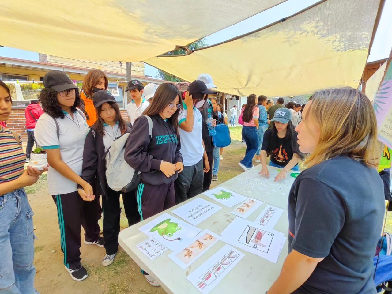 Segundo FestiTlax de los Anfibios en Tlaxcala: Celebrando la diversidad y la conservación 7 440323123 913515523907738 982330915913532616 n