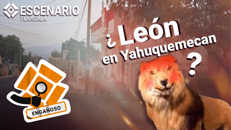 Supuesto león suelto en Yauhquemehcan causa miedo y desinformación