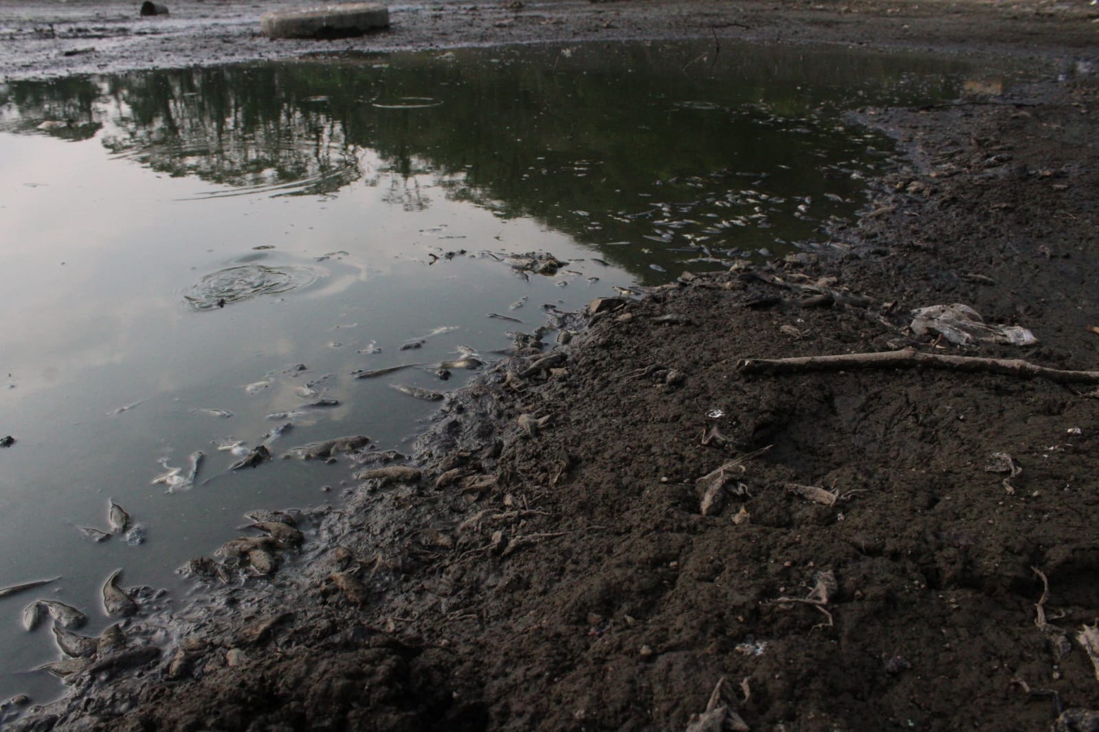 WhatsApp Image 2024 04 22 at 7.13.52 PM 1