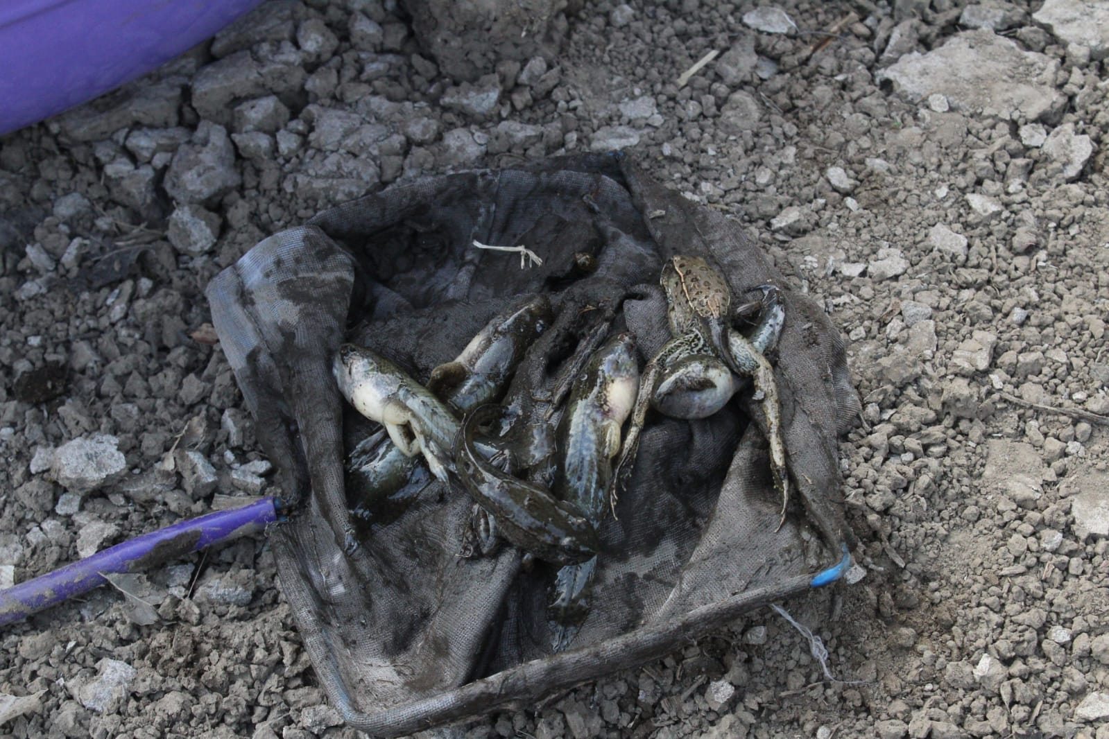 WhatsApp Image 2024 04 22 at 7.13.52 PM 2