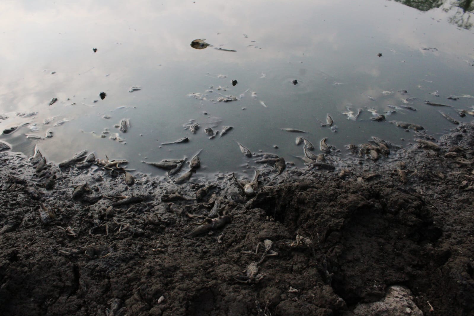 WhatsApp Image 2024 04 22 at 7.13.52 PM 3