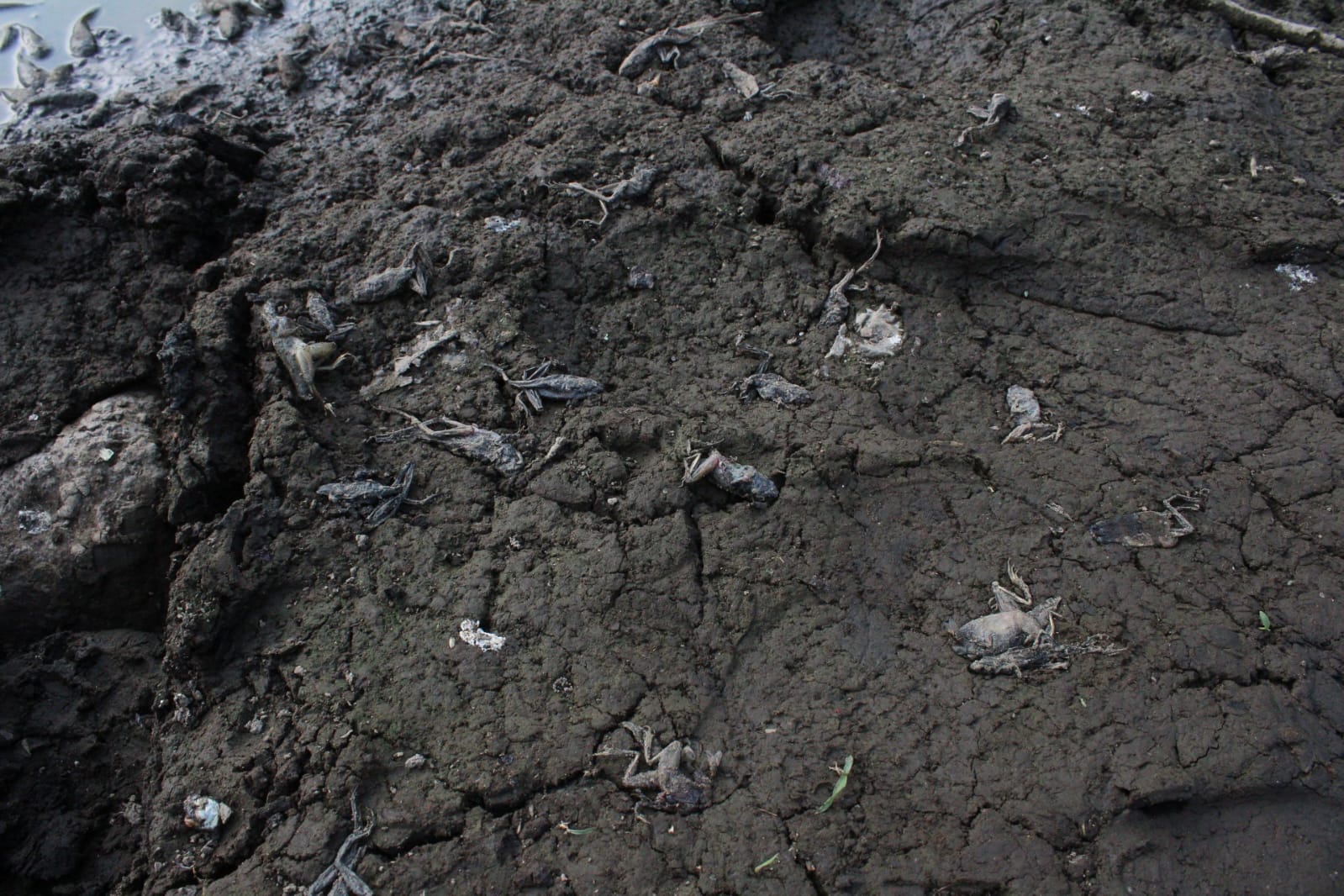 WhatsApp Image 2024 04 22 at 7.13.52 PM