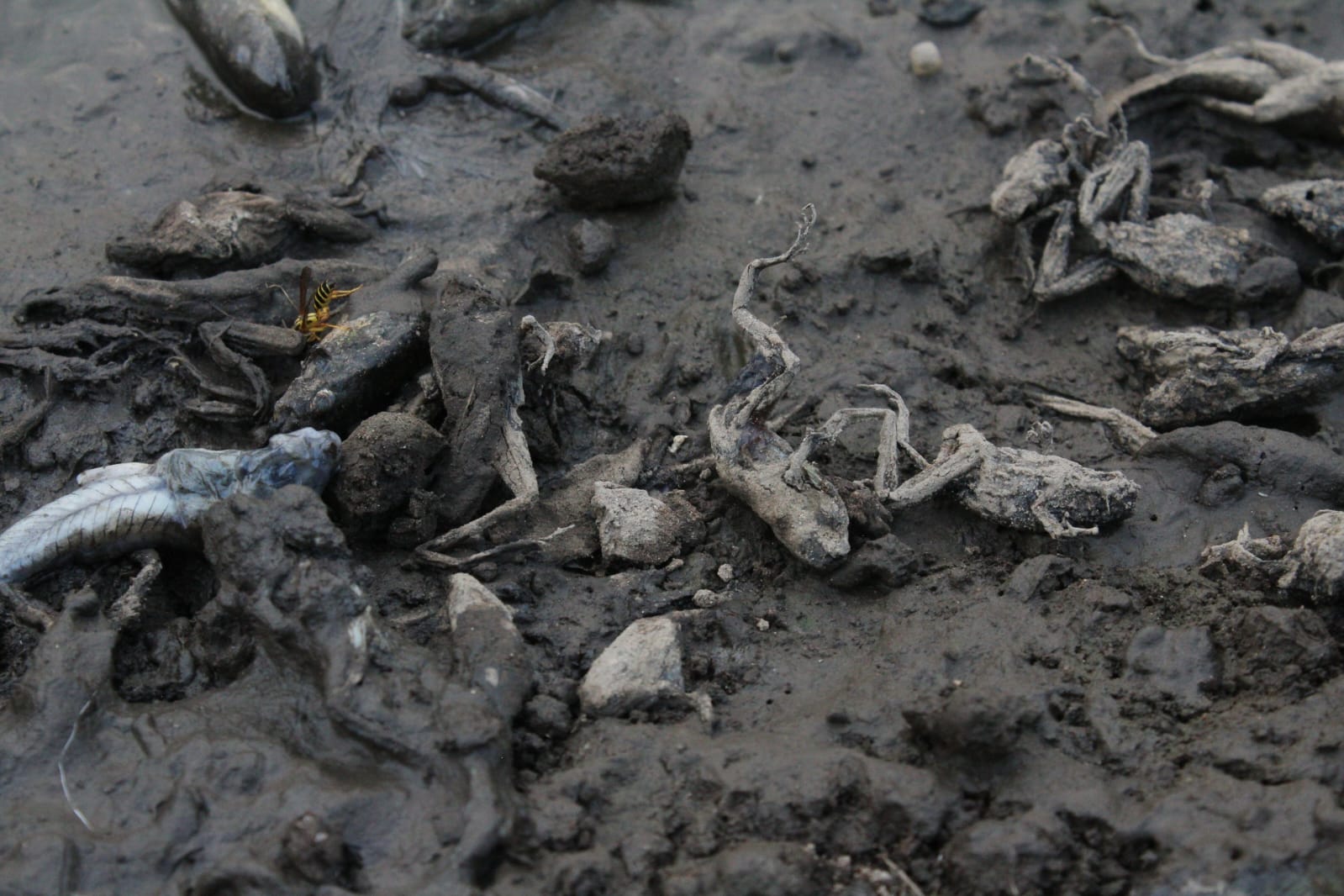 WhatsApp Image 2024 04 22 at 7.13.53 PM