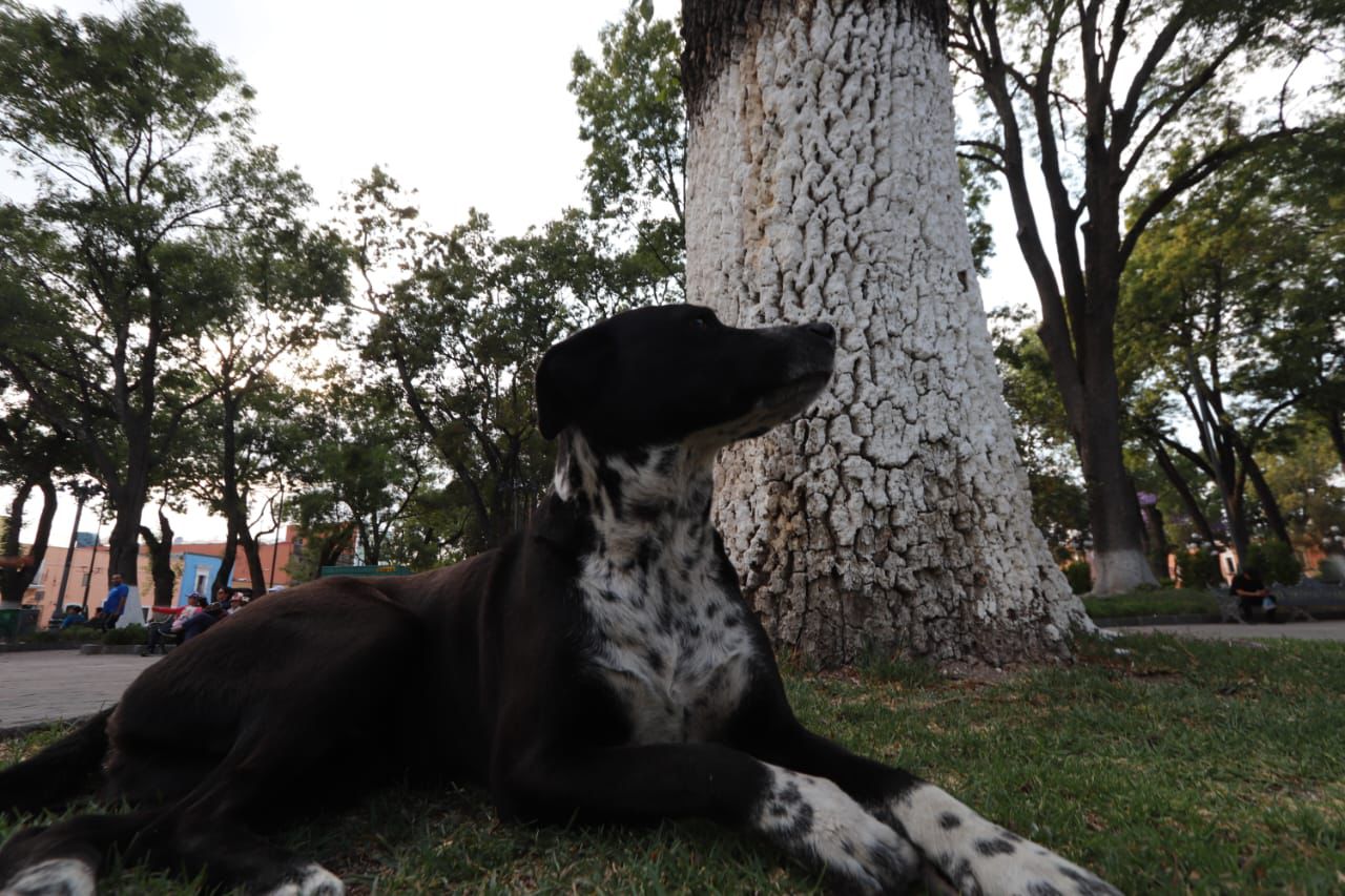 WhatsApp Image 2024 04 24 at 11.35.01 AM 1