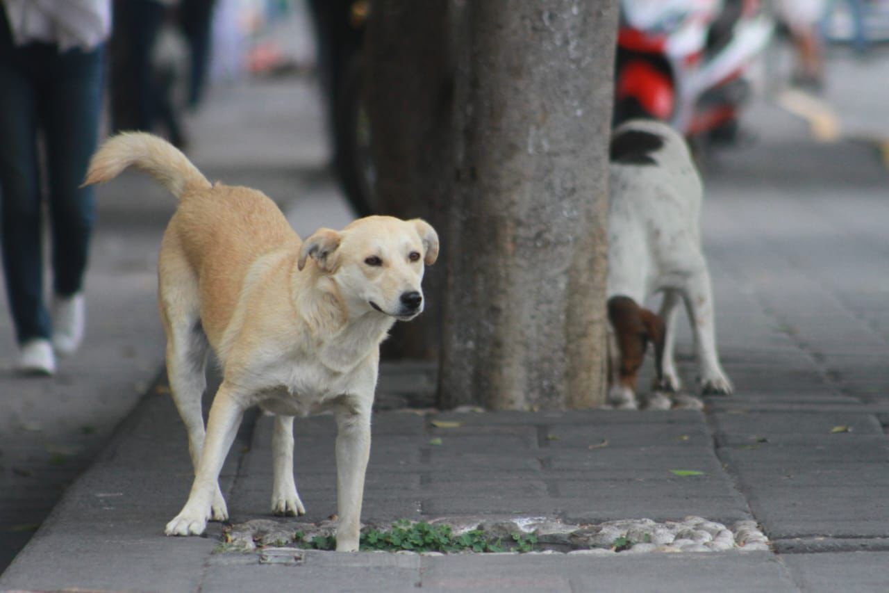 WhatsApp Image 2024 04 24 at 11.35.02 AM