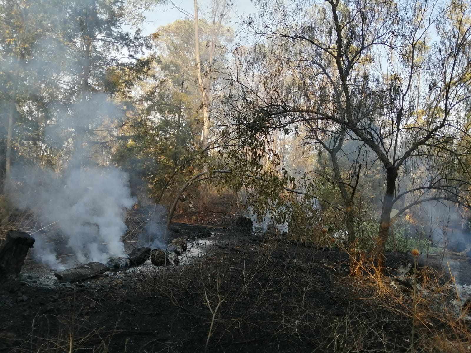 436551476 1090047248762159 5622117198109077684 n