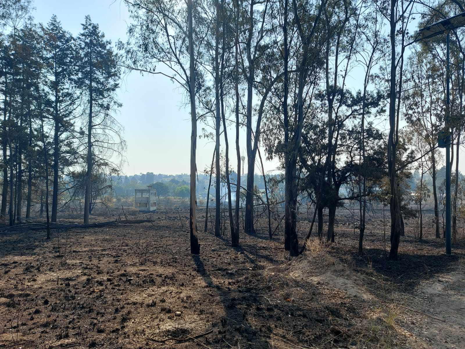 436667368 1718813881981599 4279778756103537742 n