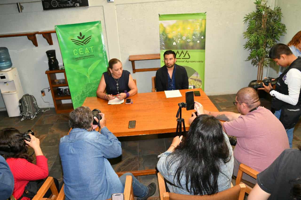 442438133 1988141318248498 3693399978820297488 n