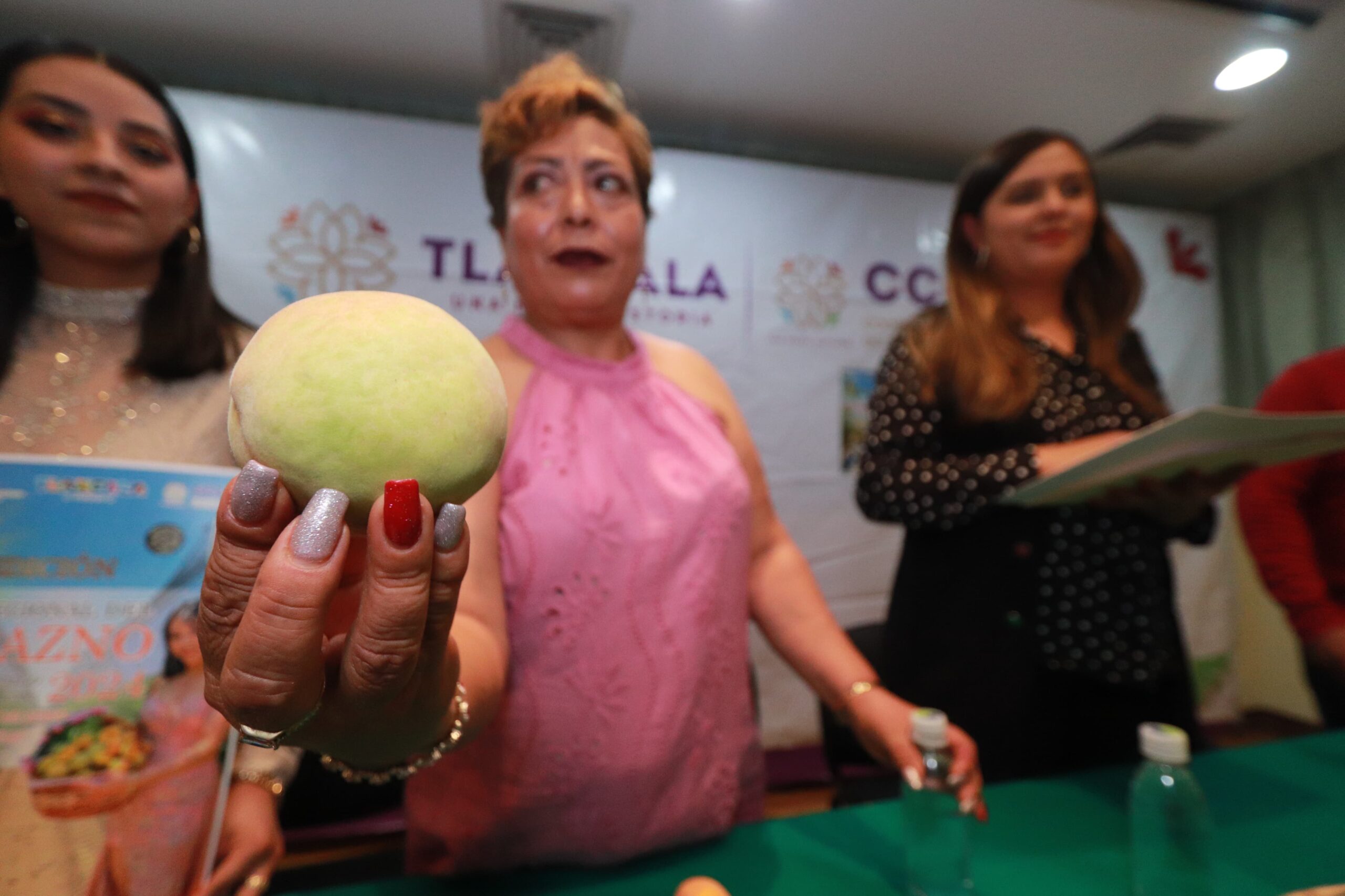 Llega la Feria del Durazno 2024 a Concepción Hidalgo, Altzayanca, Tlaxcala 2 Imagen de WhatsApp 2024 06 10 a las 16.47.56 e87b661f scaled