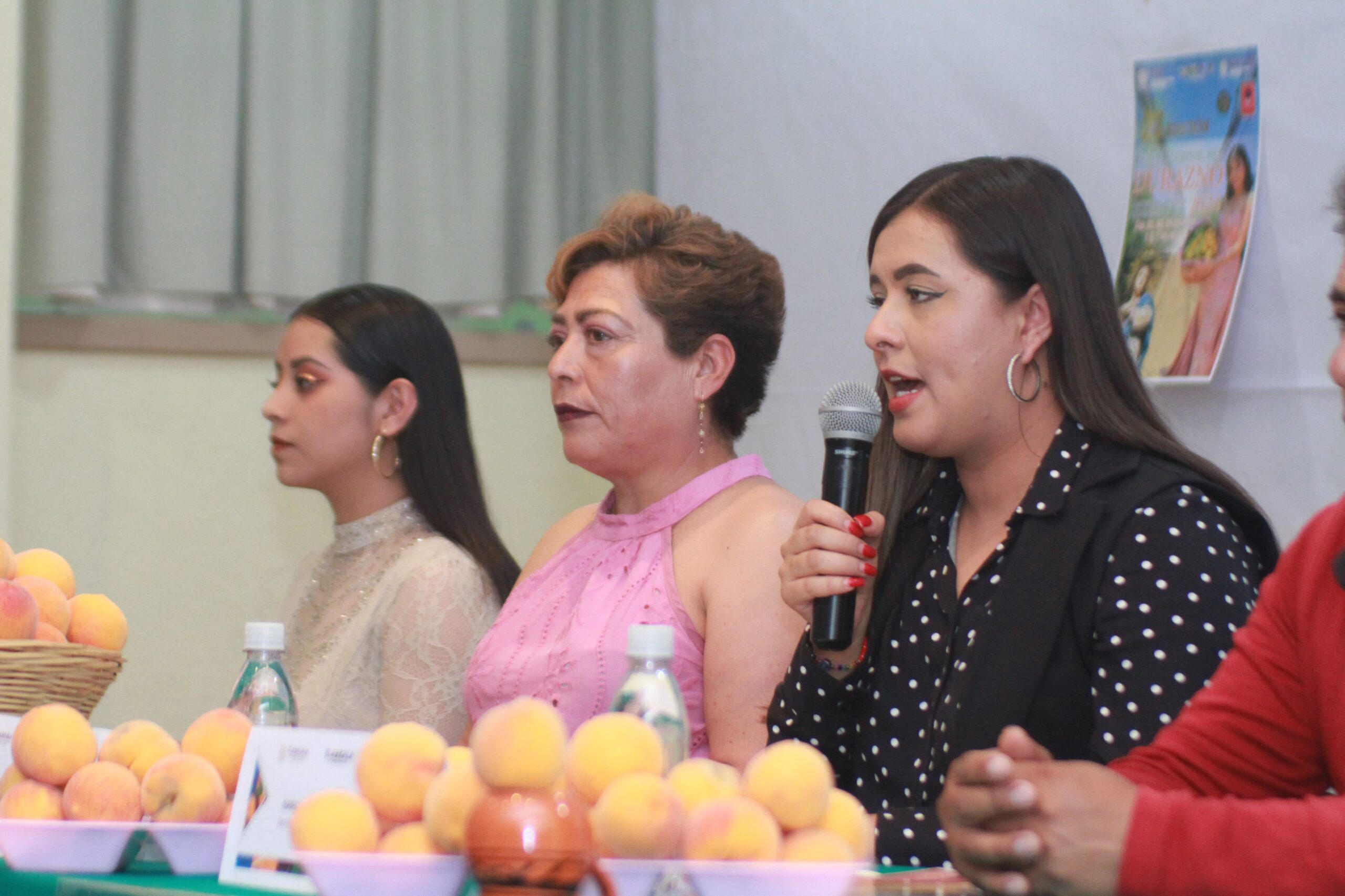 Llega la Feria del Durazno 2024 a Concepción Hidalgo, Altzayanca, Tlaxcala 1 Imagen de WhatsApp 2024 06 10 a las 16.47.56 f3b10bf3 scaled