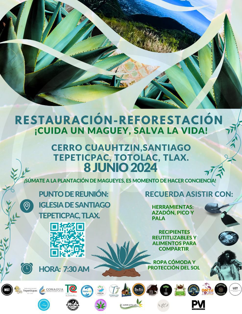 Restauración-reforestación con magueyes en Tepeticpac 1 Tepeticpac 1