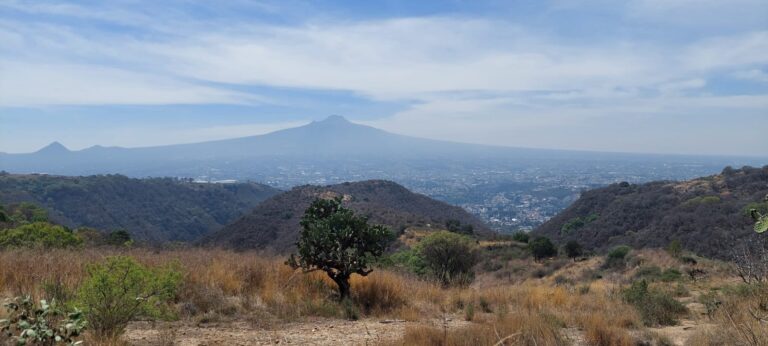 Restauración-reforestación con magueyes en Tepeticpac