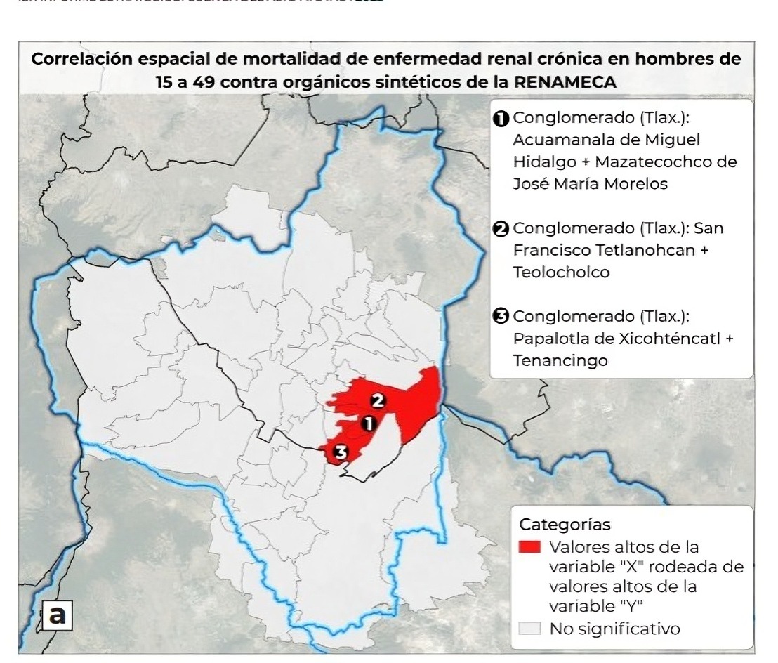 correlacion de mortalidad