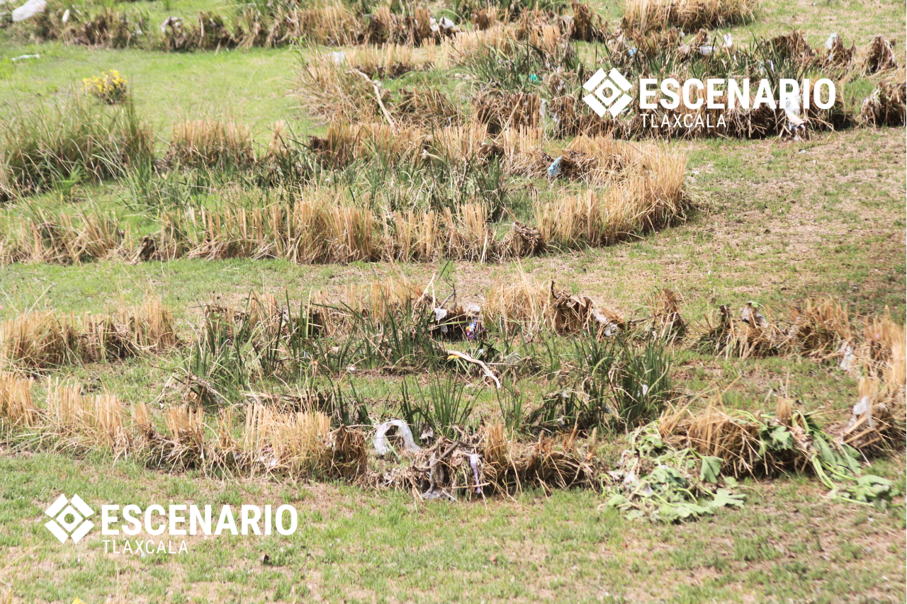 Corredor Urbano del Zahuapan: SMA defiende islas, su estudio ambiental no las nombra