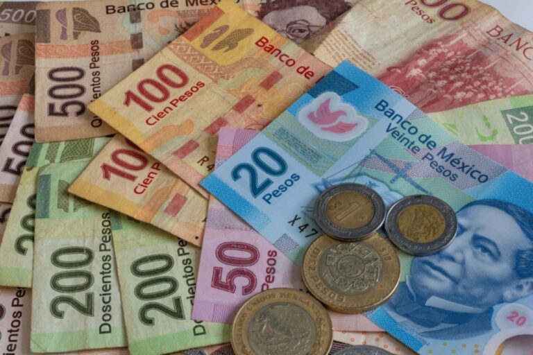En Tlaxcala ya se podrá acceder fácilmente a la Ley de Ingresos gracias a Transparencia Mexicana