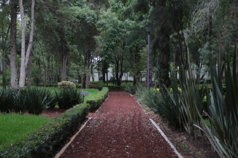 Cierre temporal del Jardín Botánico Tizatlán por daños ocasionados por las lluvias
