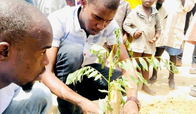 Una iniciativa contra la deforestación beneficia a la comunidades locales del noreste de Nigeria