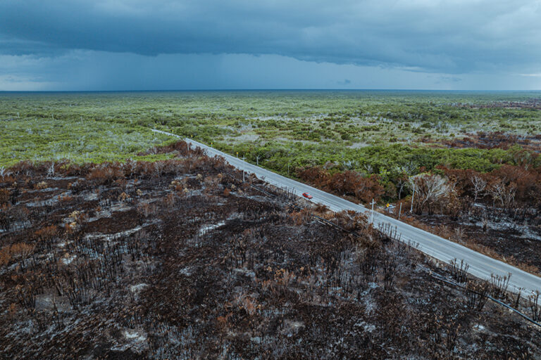 Yucatán: incendio en Sisal despierta dudas entre ejidatarios, señalan a inmobiliarias
