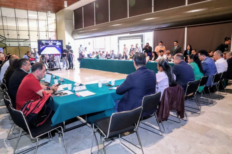Creación de la Confederación por los Derechos Animales México (CODAM)