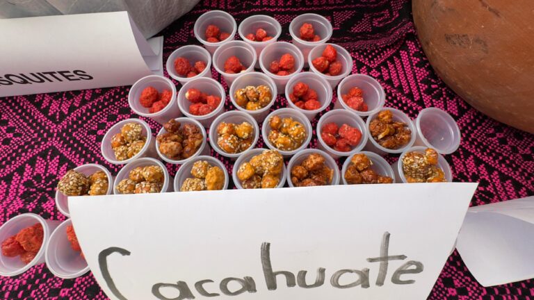 Inicia el programa Vida Saludable, Vive Feliz en Tlaxcala: regulan venta de comida chatarra en escuelas