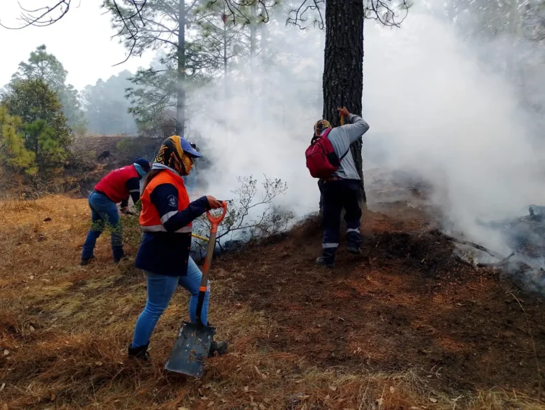 Más incendios forestales por sequía, mientras recursos escasean y tardan