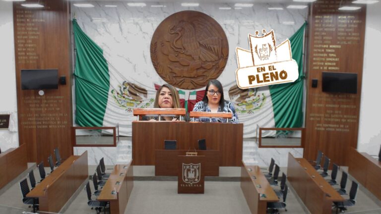 En el pleno: Regularización de venta de animales y mujer indígena en letras doradas