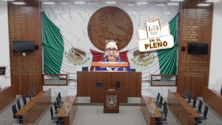 En el pleno: plantean garantizar el voto desde el extranjero y exhortan a ayuntamientos a bombear agua con energías renovables