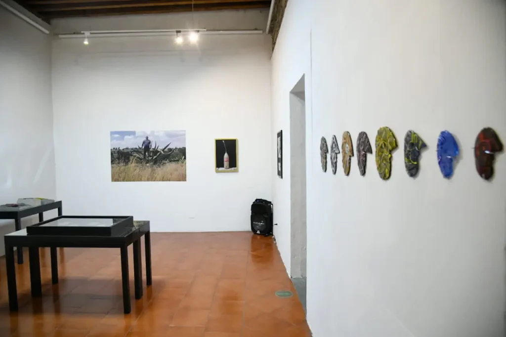 WhatsApp Image 2025 05 13 at 9.11.38 AM 1