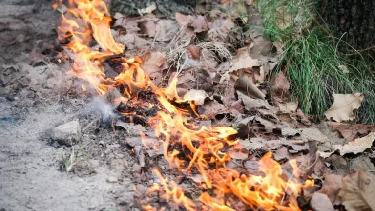Incendio en Ciudad Guzmán