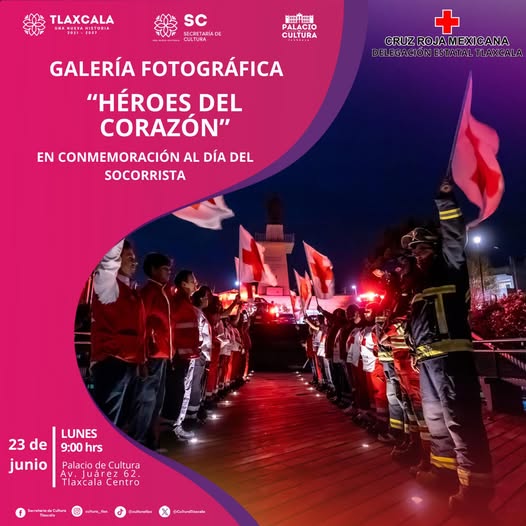 509361926 728706739546351 2763921876234481394 n