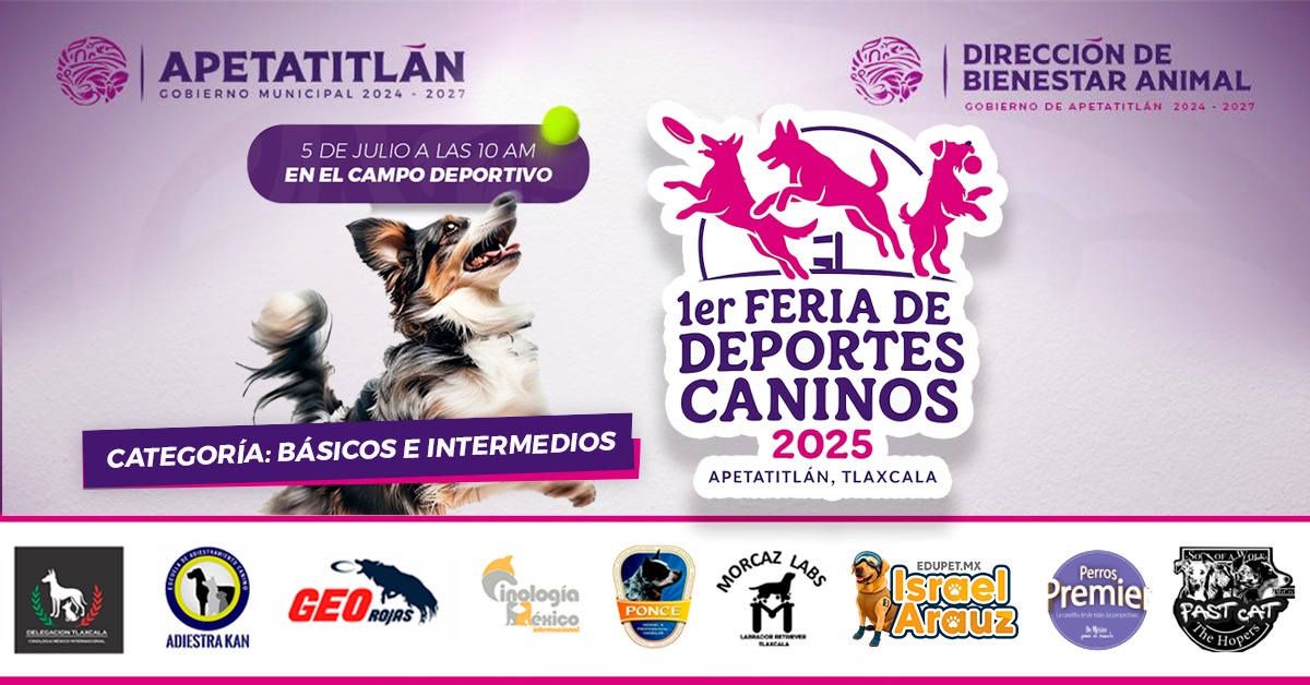 509434805 1398119408023120 6812517471041387142 n