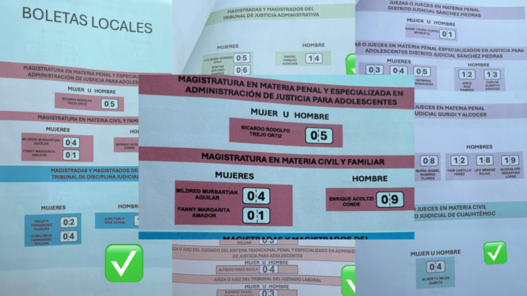 Los candidatos son los mismos: reelección en Magistraturas de Materia Penal y Especializada en Administración de Justicia para Adolescentes