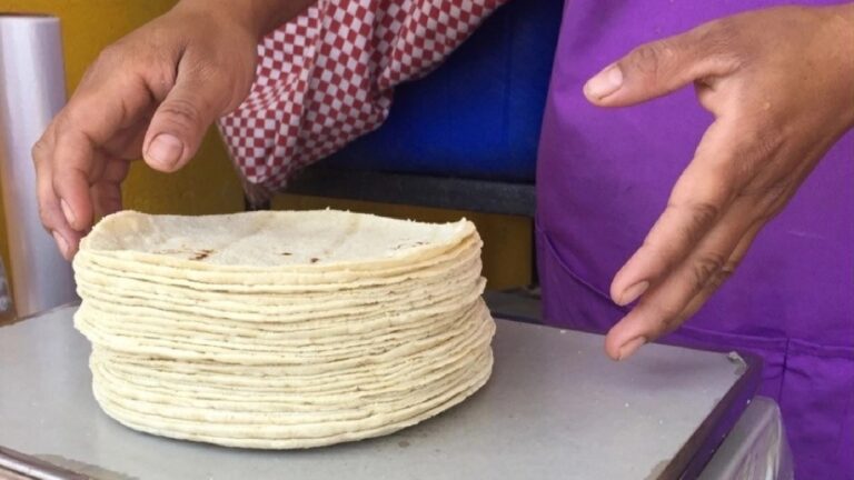 Pacto por la Tortilla va por recuperar la justicia en la cadena productiva del maíz en Tlaxcala