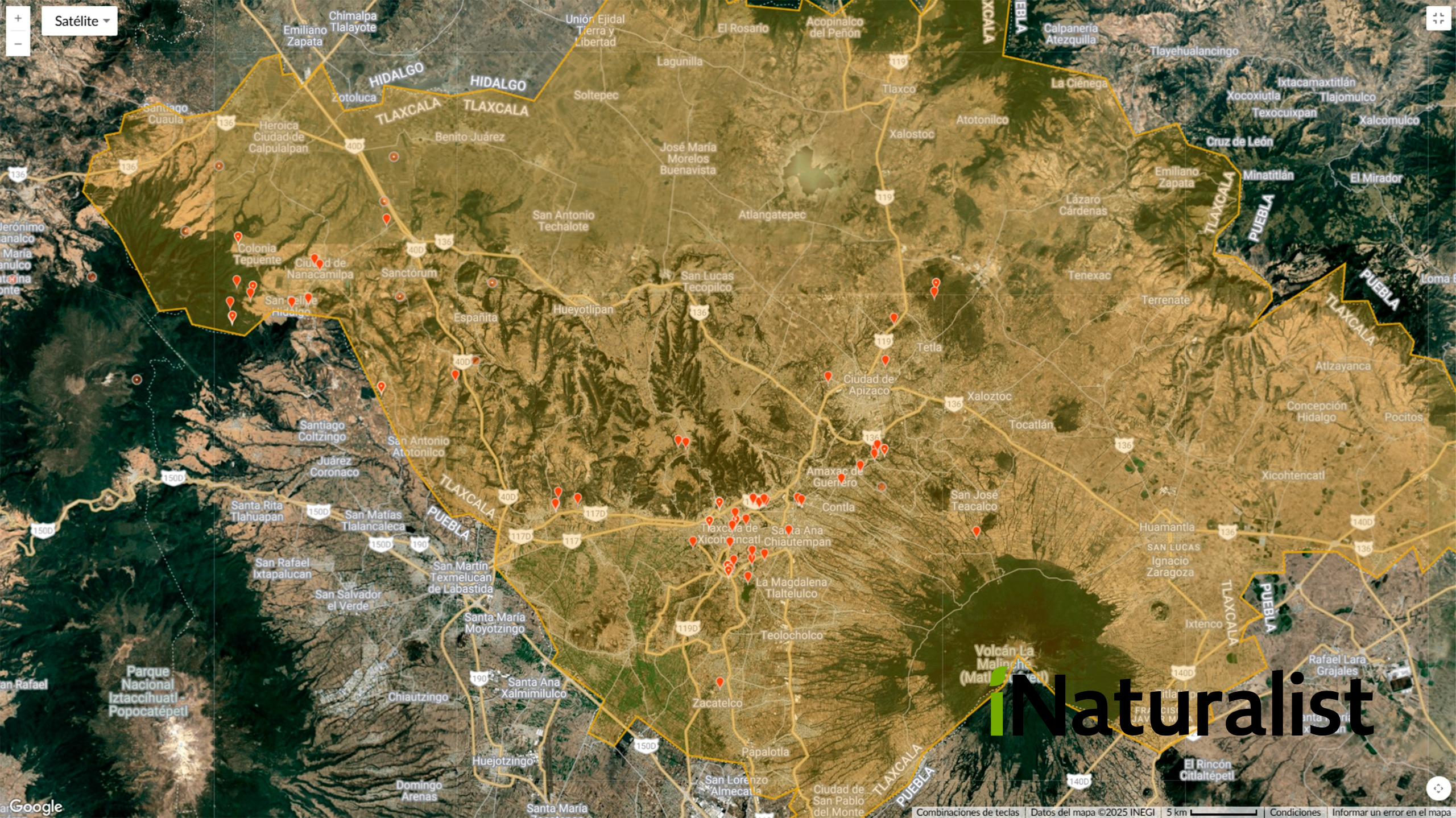 ¿Has notado luciérnagas en tu casa? Te contamos que hay detrás de eso 1 Luciérnagas en Tlaxcala